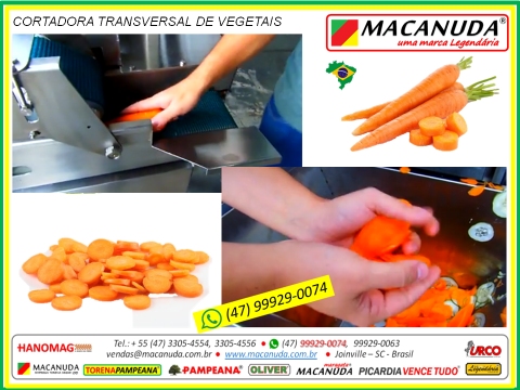 CARROT CUTTING MACHINE - CARROT PROCESSING MACHINE MACANUDA